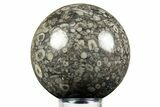 Fossil Crinoid Stems In Marble Sphere #308988-1